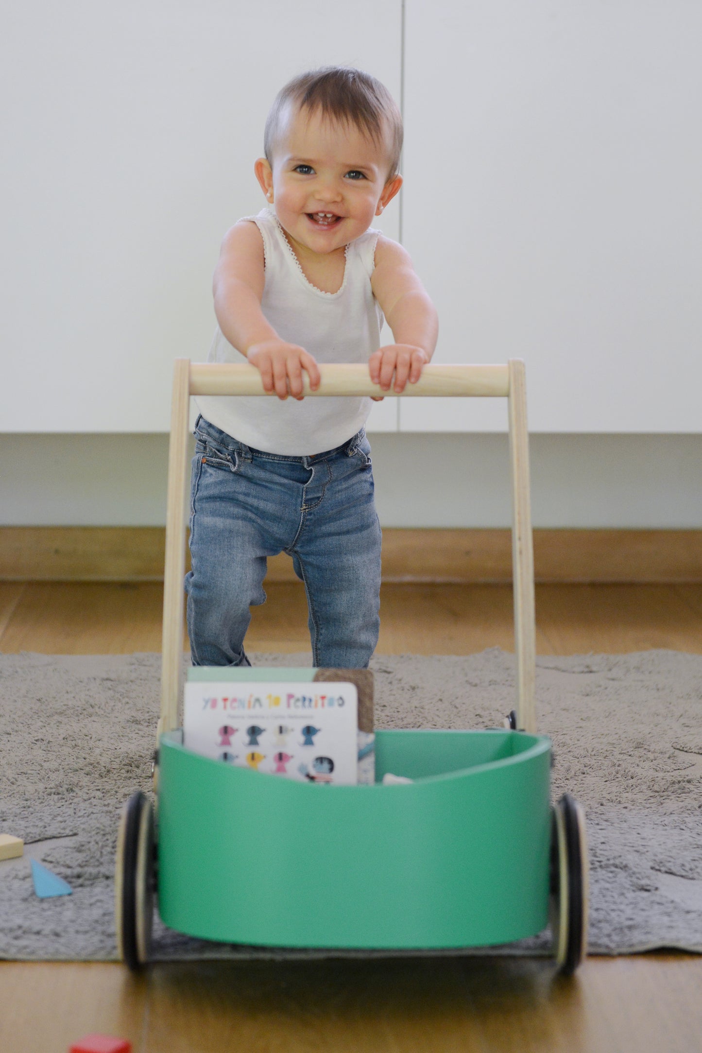 Carrito Andador - APEGA2