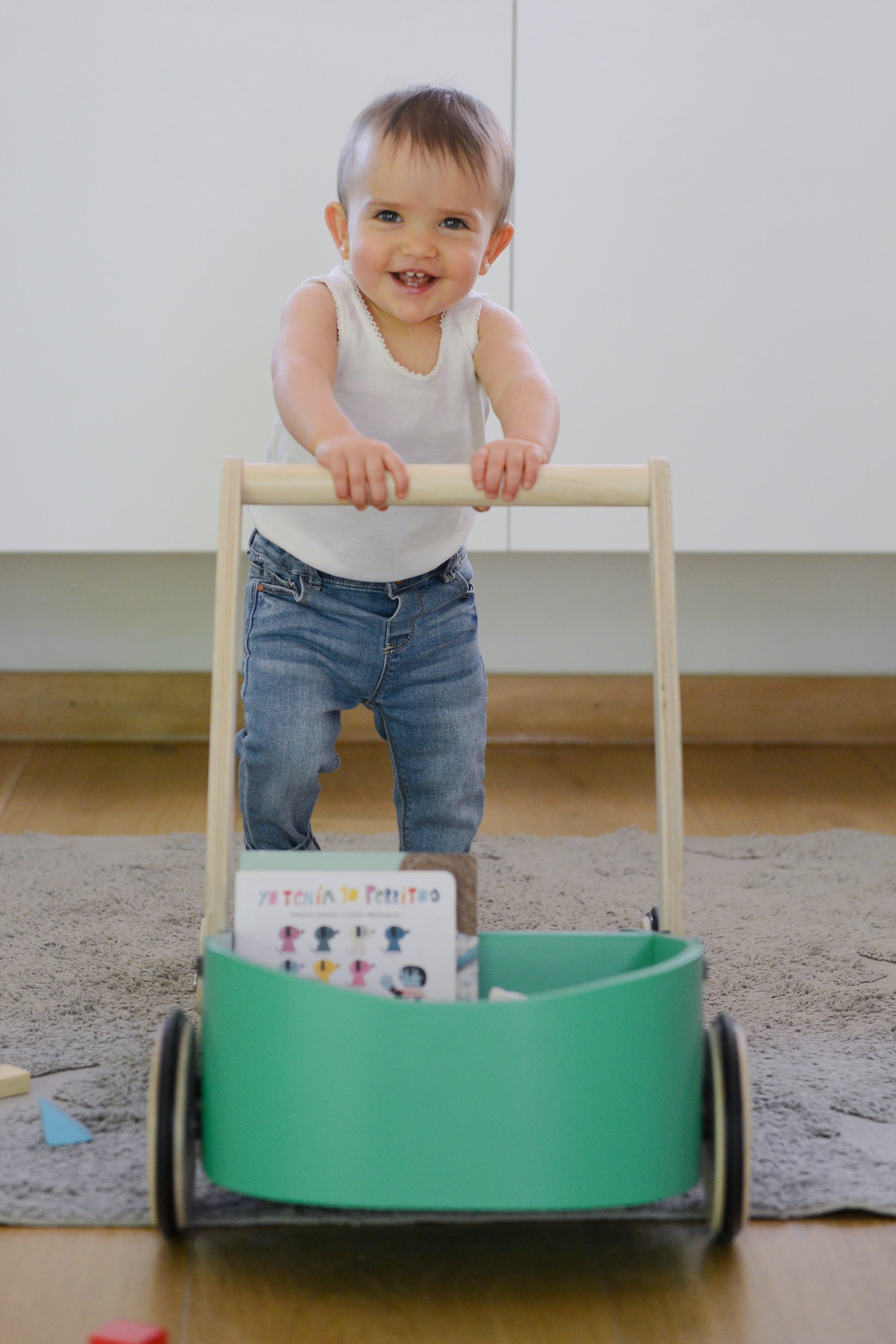 Carrito Andador - APEGA2