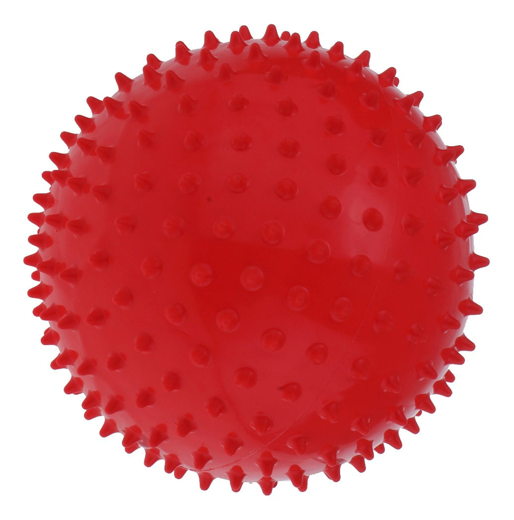 Pelota Sensorial XL - APEGA2